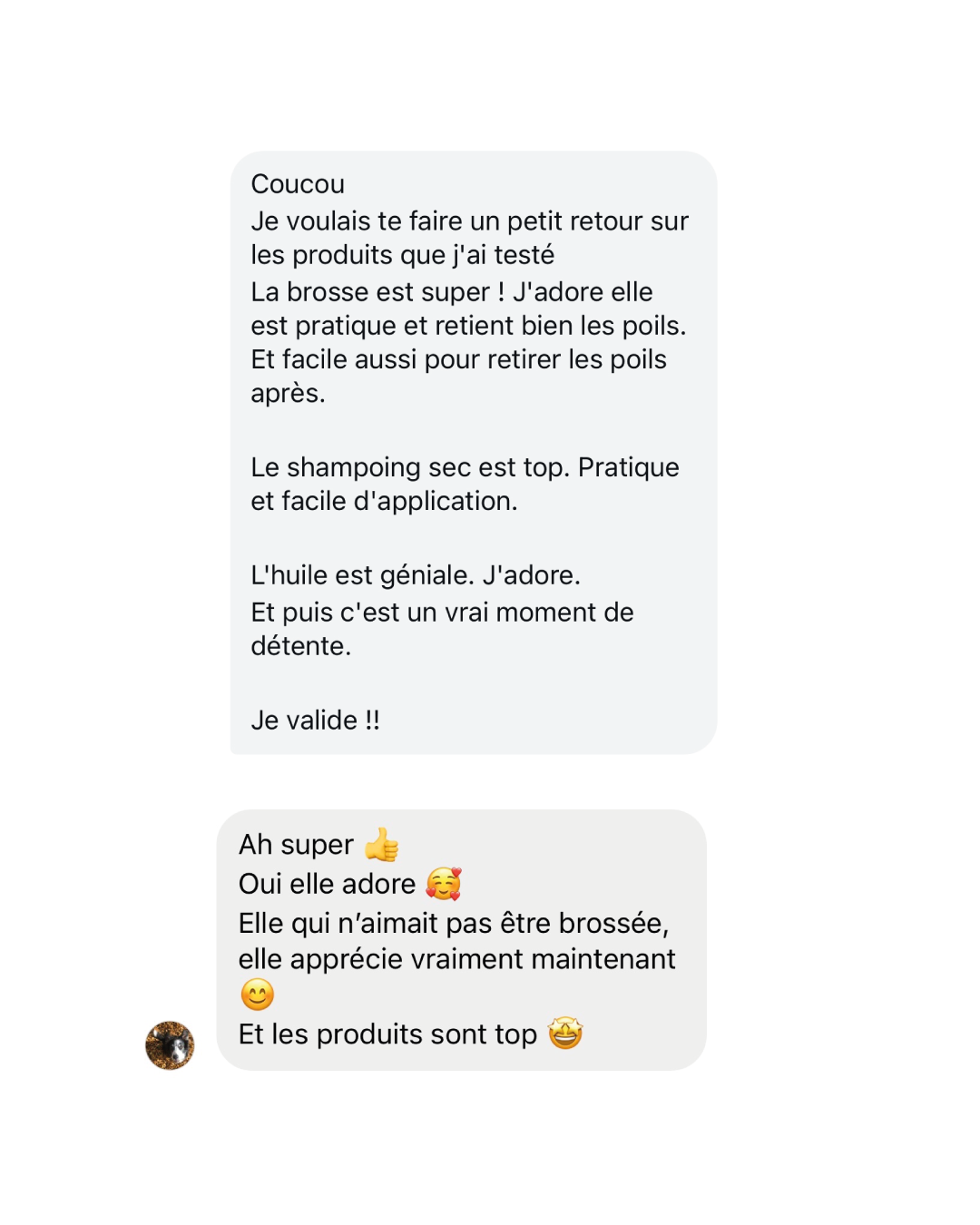 Brosse-demelante-berger-australien.png