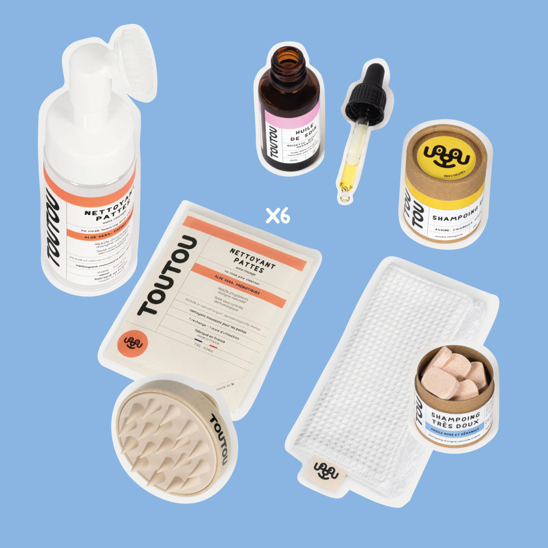 Bundle-collage-beauty-routine.png