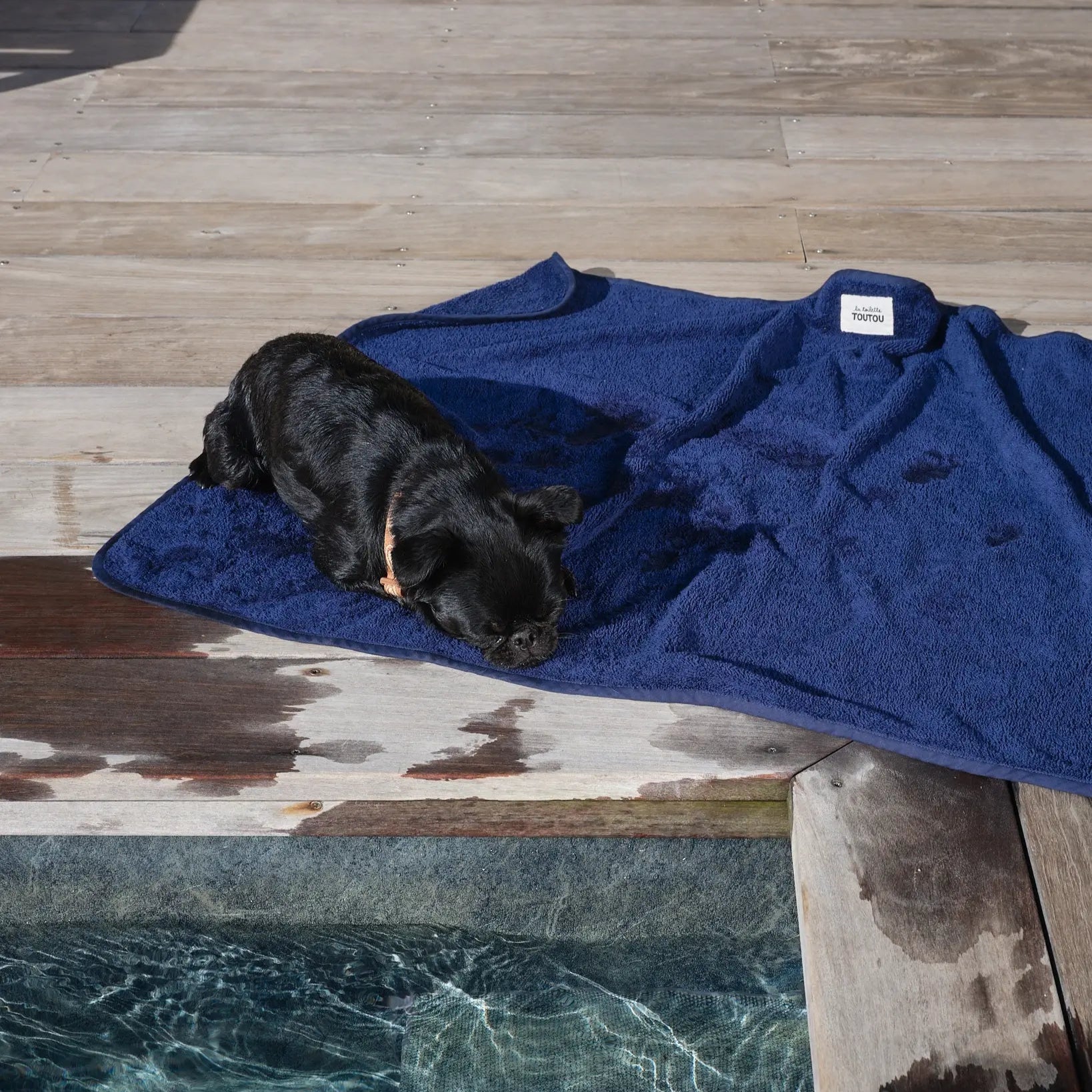 SERVIETTE DE BAIN POUR CHIEN