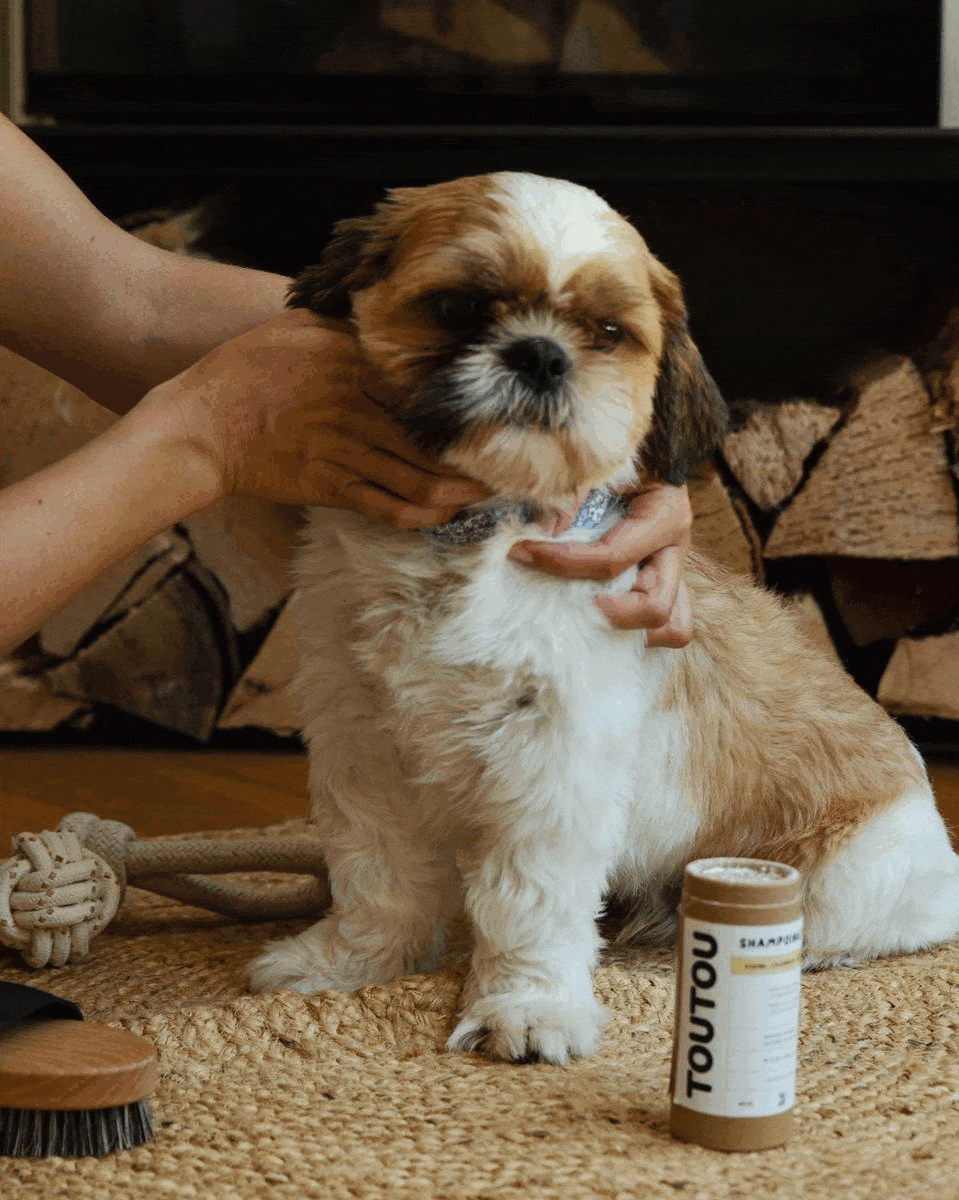 Shampoing-sec-bio-shi-tzu_b5489b37-4158-4ca2-9f59-24ce99d691b0.gif