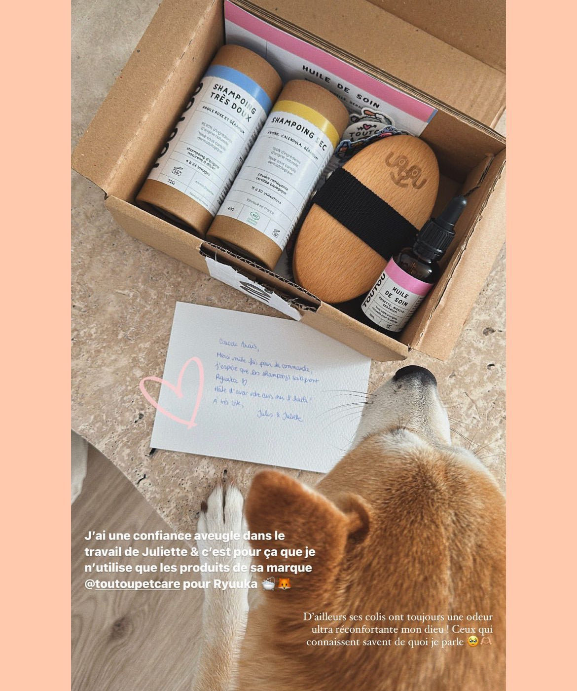 bon-shampoing-chien-naturel.jpg