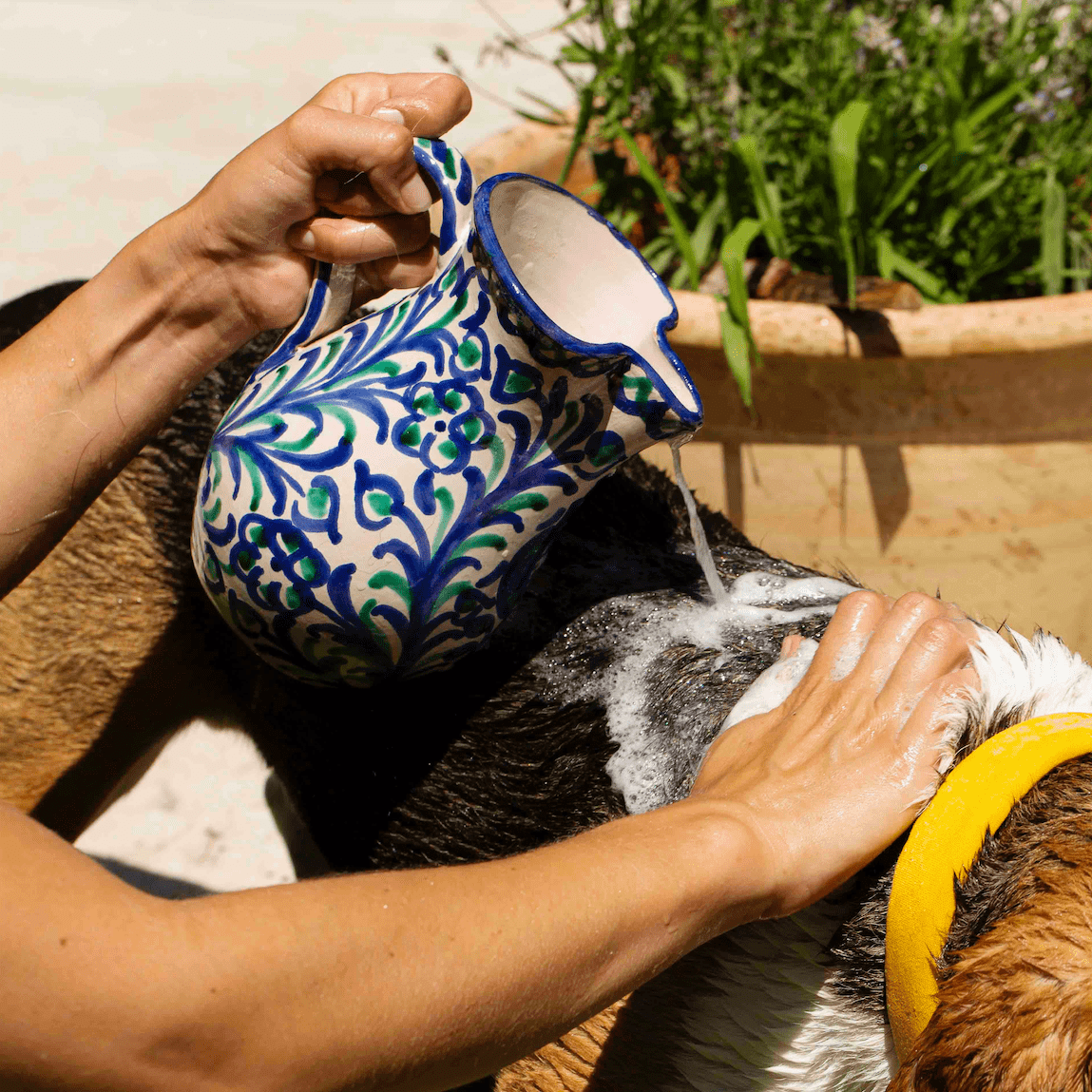 SHAMPOING TRES DOUX & BROSSE