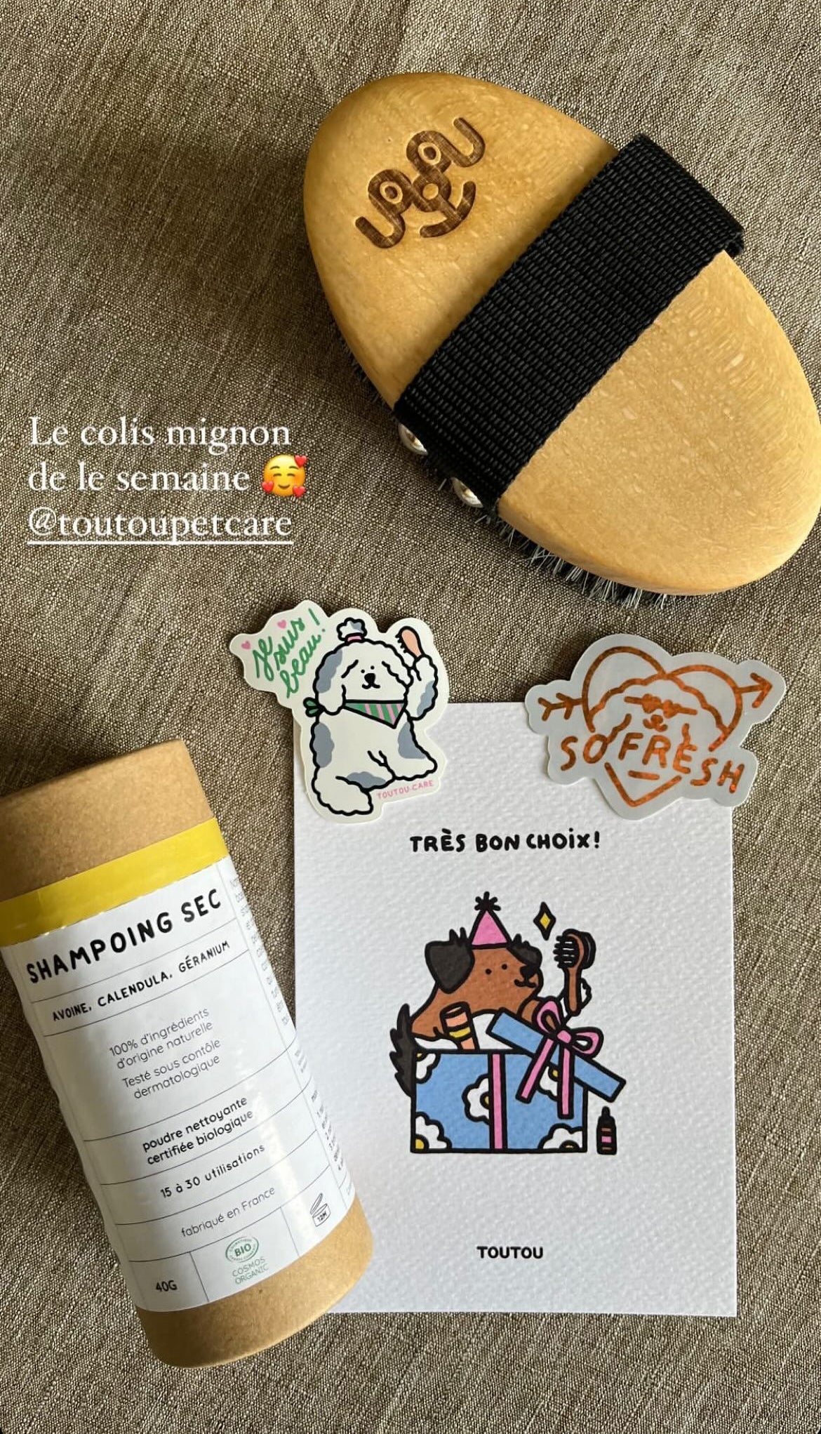 poils-courts-chien-brosse.jpg