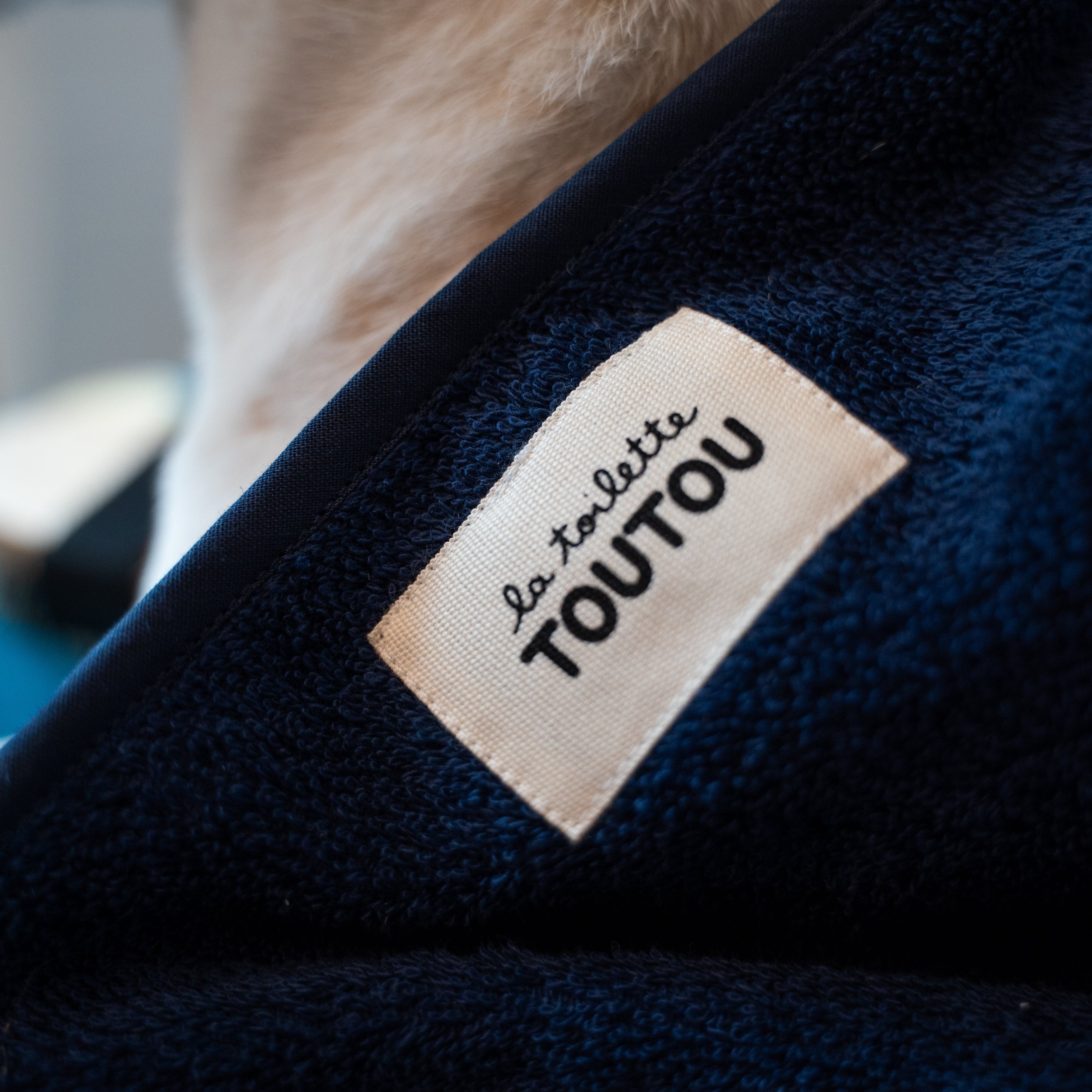 Serviette pour chien