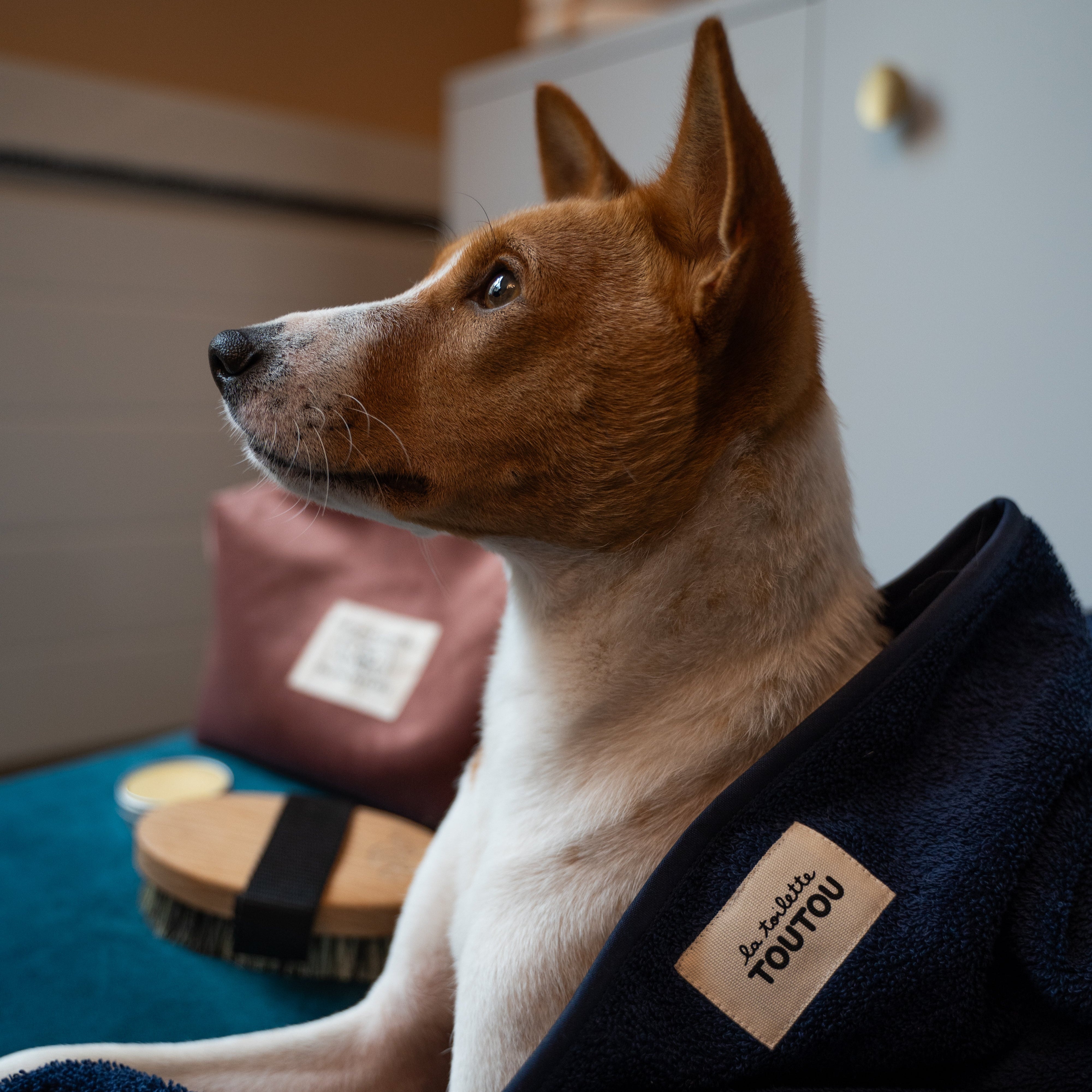 Serviette absorbante pour chien