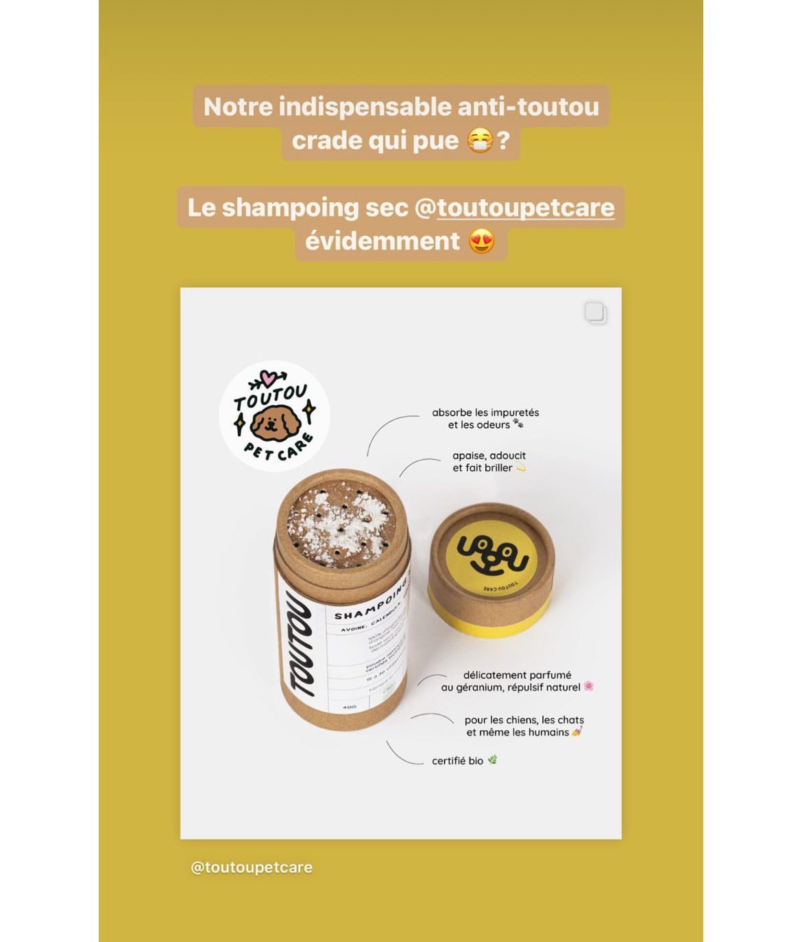 shampoing-sec-chien-poils-courts.jpg