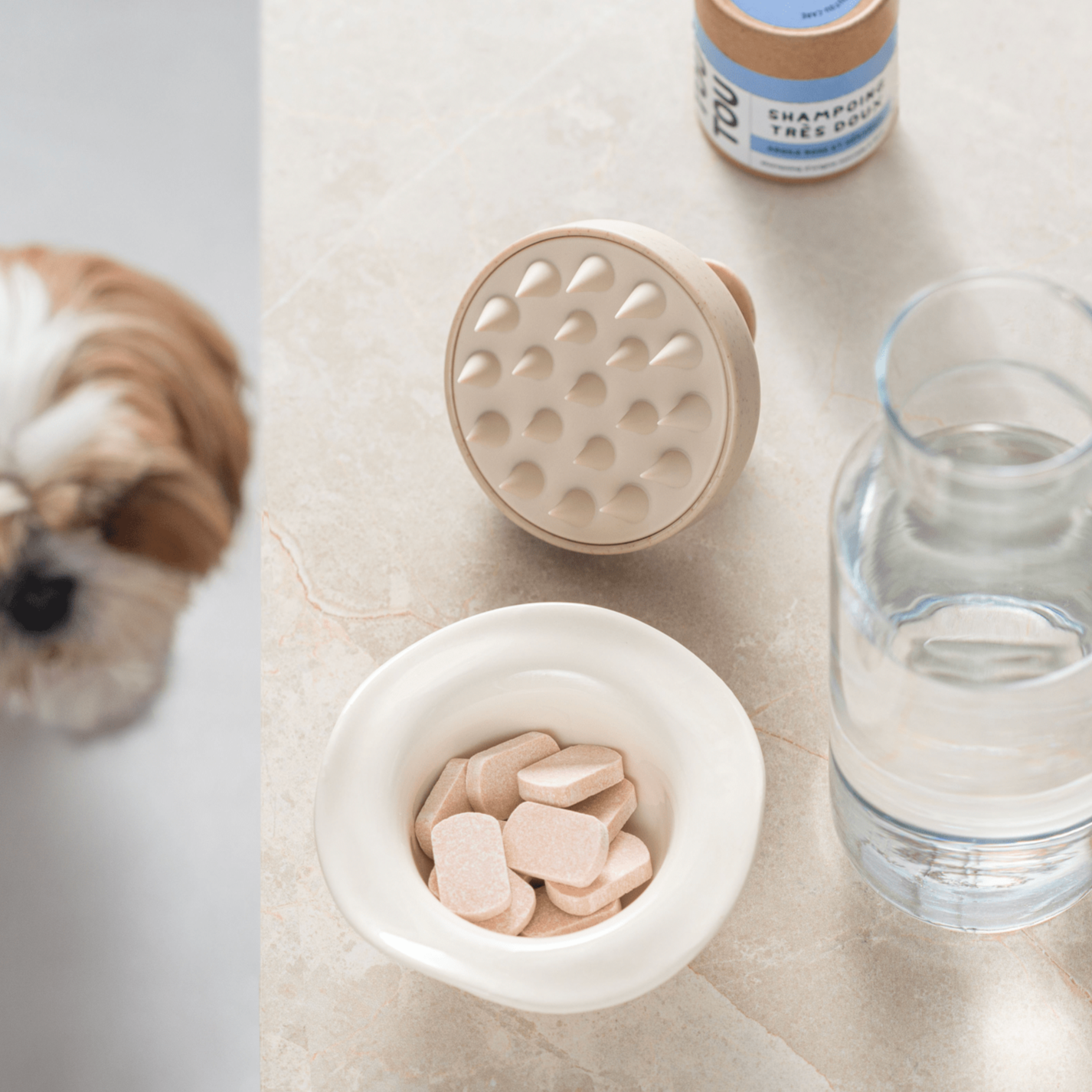 SHAMPOING TRES DOUX & BROSSE