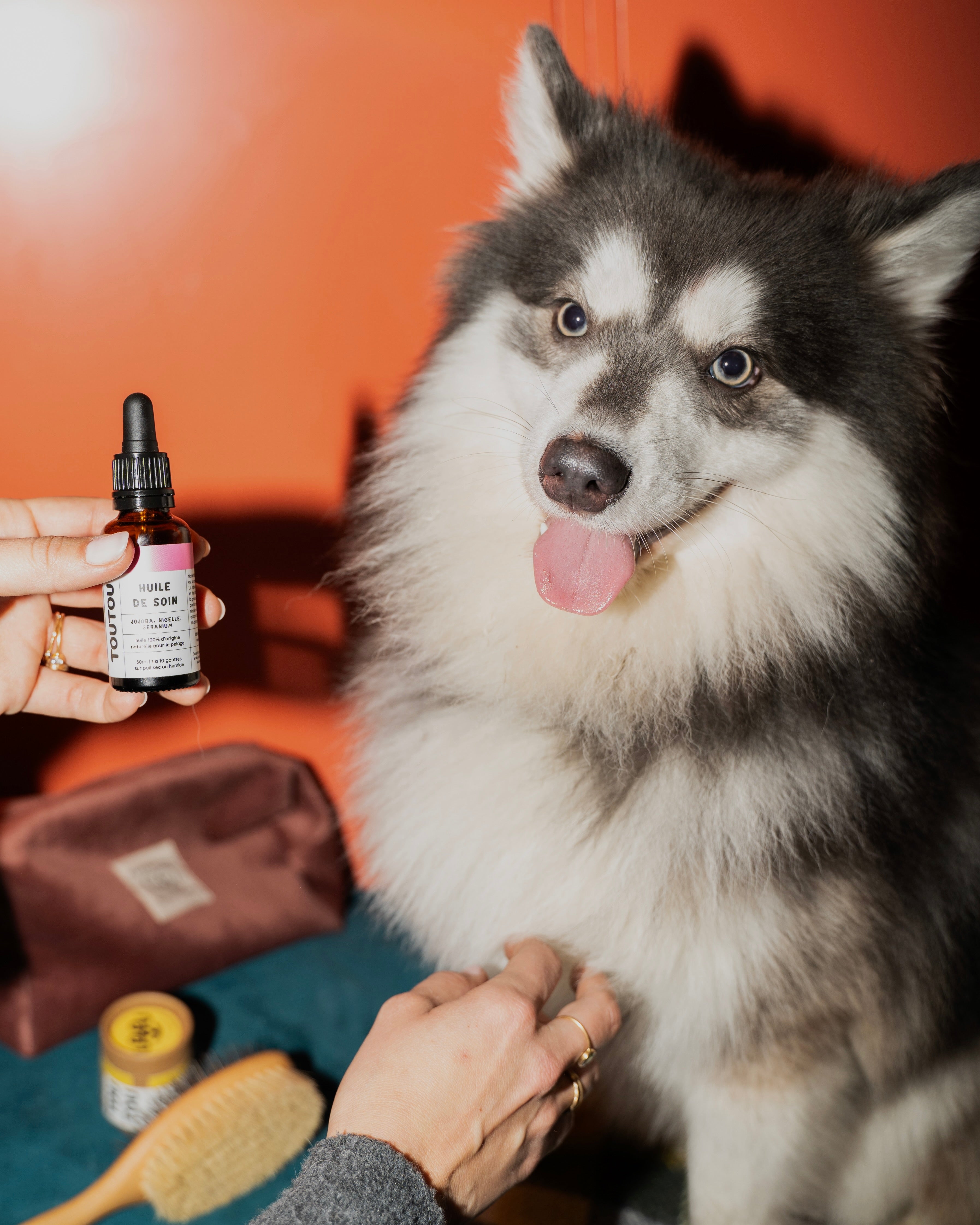 QUELLE ROUTINE DE SOIN POUR MON CHIEN ? 🐾