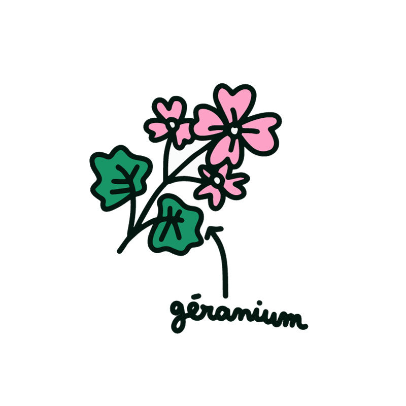 Les bienfaits de l’huile essentielle de geranium pour les chiens