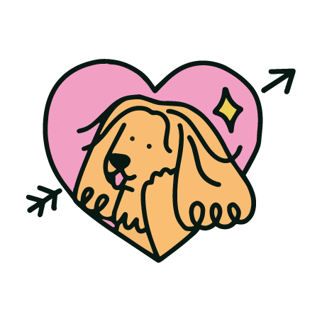 TOUS NOS PRODUITS POUR CHIENS ET CHATS HEUREUX