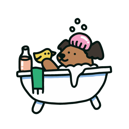 Tous nos produits d'hygiene et de soin pour chiens heureux