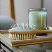 BROSSE POUR POILS LONGS ET MI-LONGS