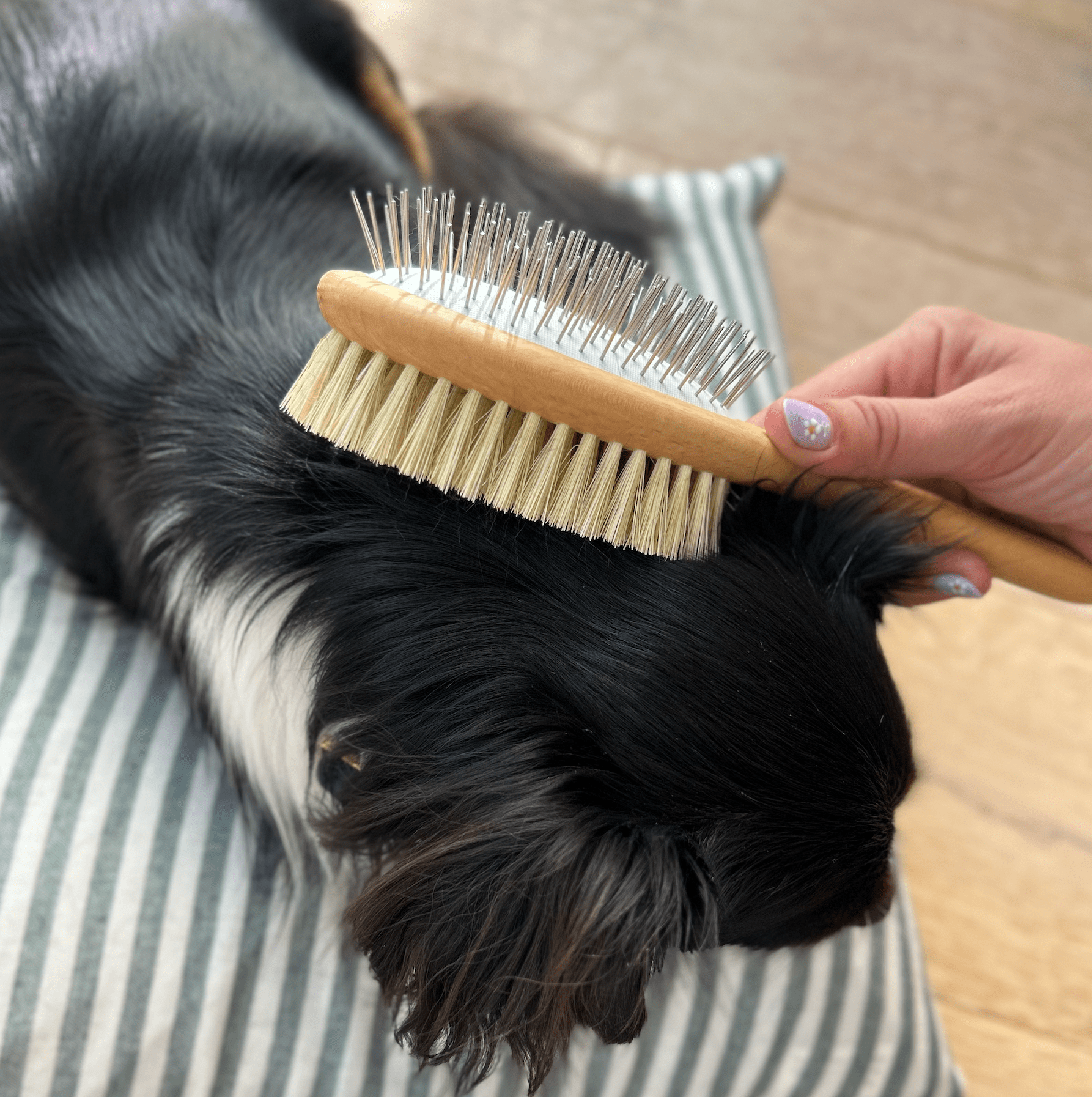 Brosse Double Face Pour Chien Rosewood - Taille S - Picots En Acier Et Poils Naturels - Pour Tous Types De Poils - Poignée Ergonomique - 10