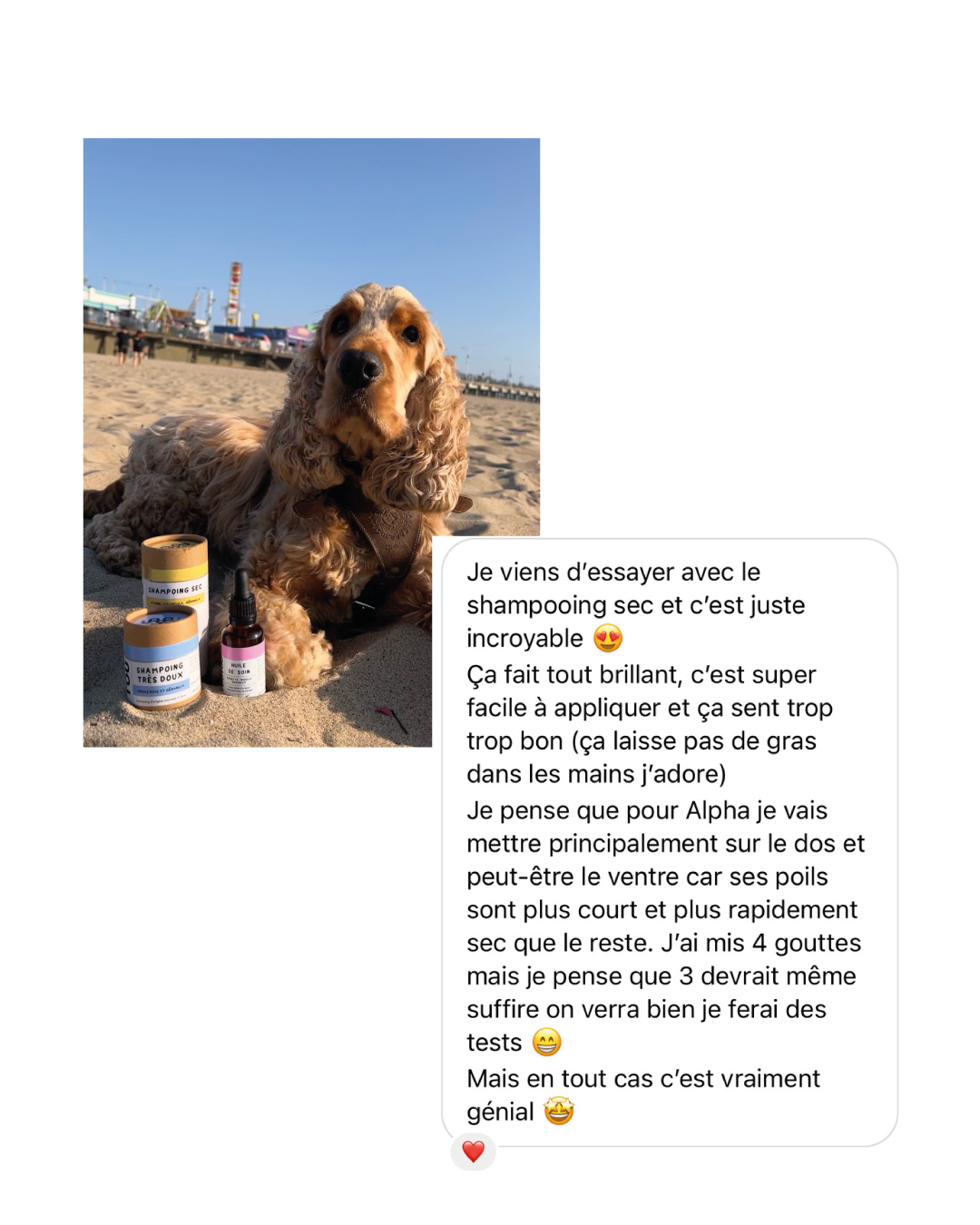 Huile-soin-demalant-hydratant-poil-chien.png