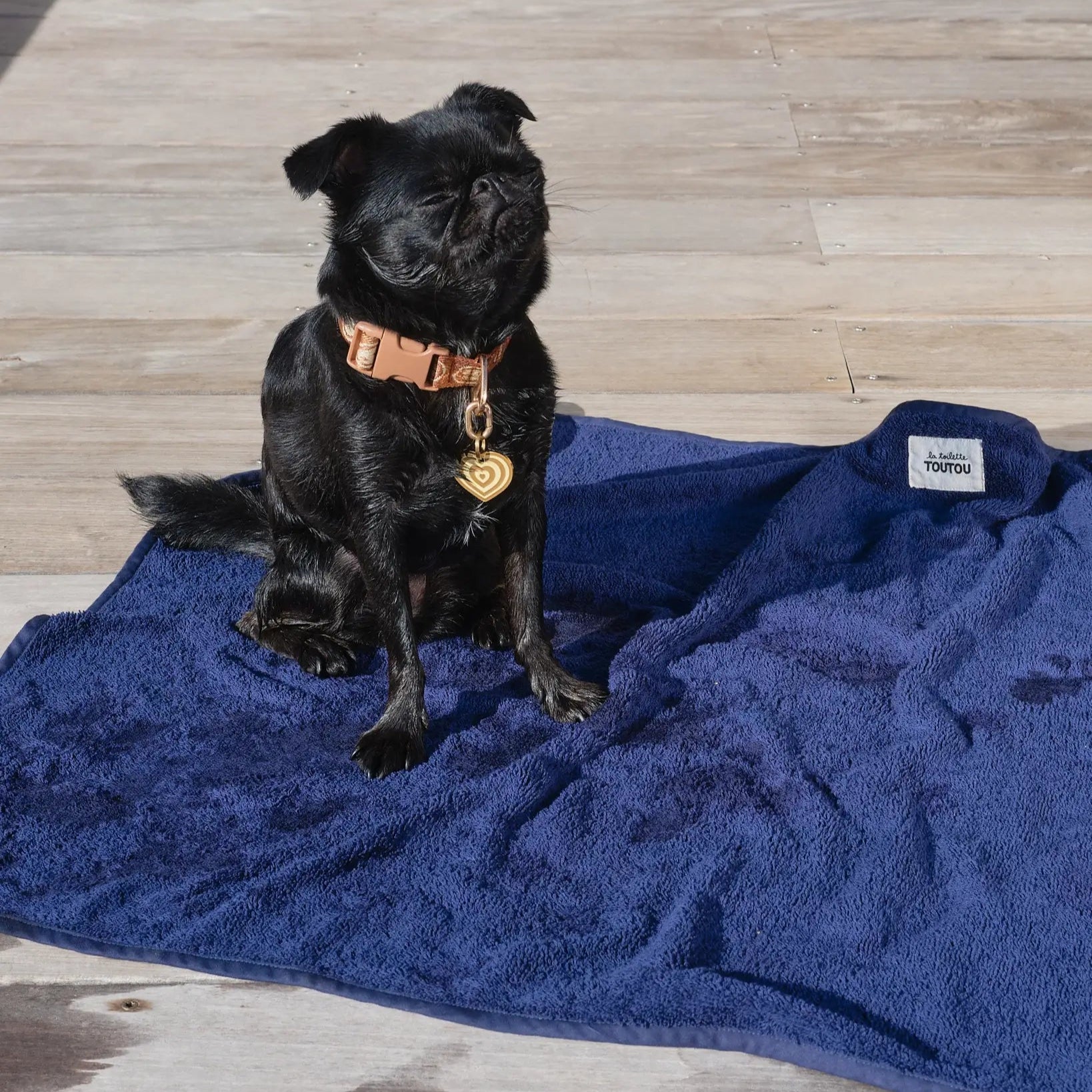 Serviette-pour-chien-bleu.webp