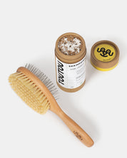 SHAMPOING SEC & BROSSE DOUBLE FACE