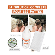 PACK CADEAU NOEL - ROUTINE COMPLÈTE