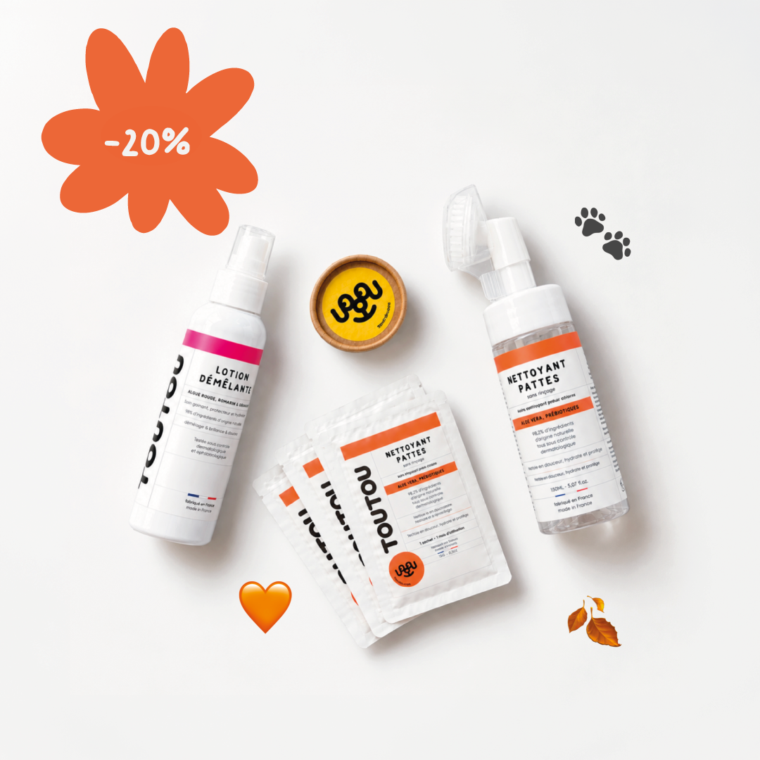 PACK RETOUR DE BALADES