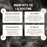 LA ROUTINE SANS EAU