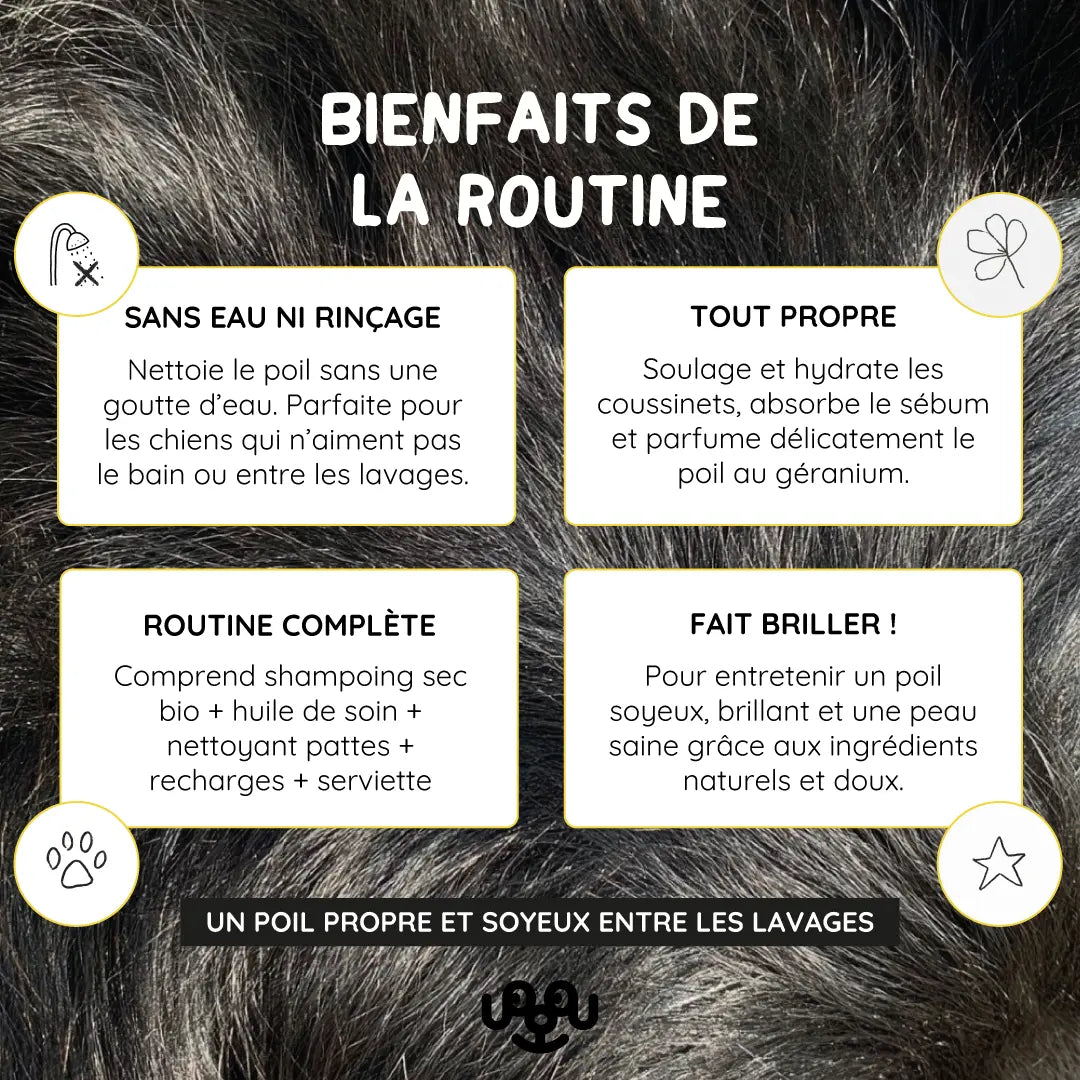 site-benef-produits-routine-sans-eau.webp