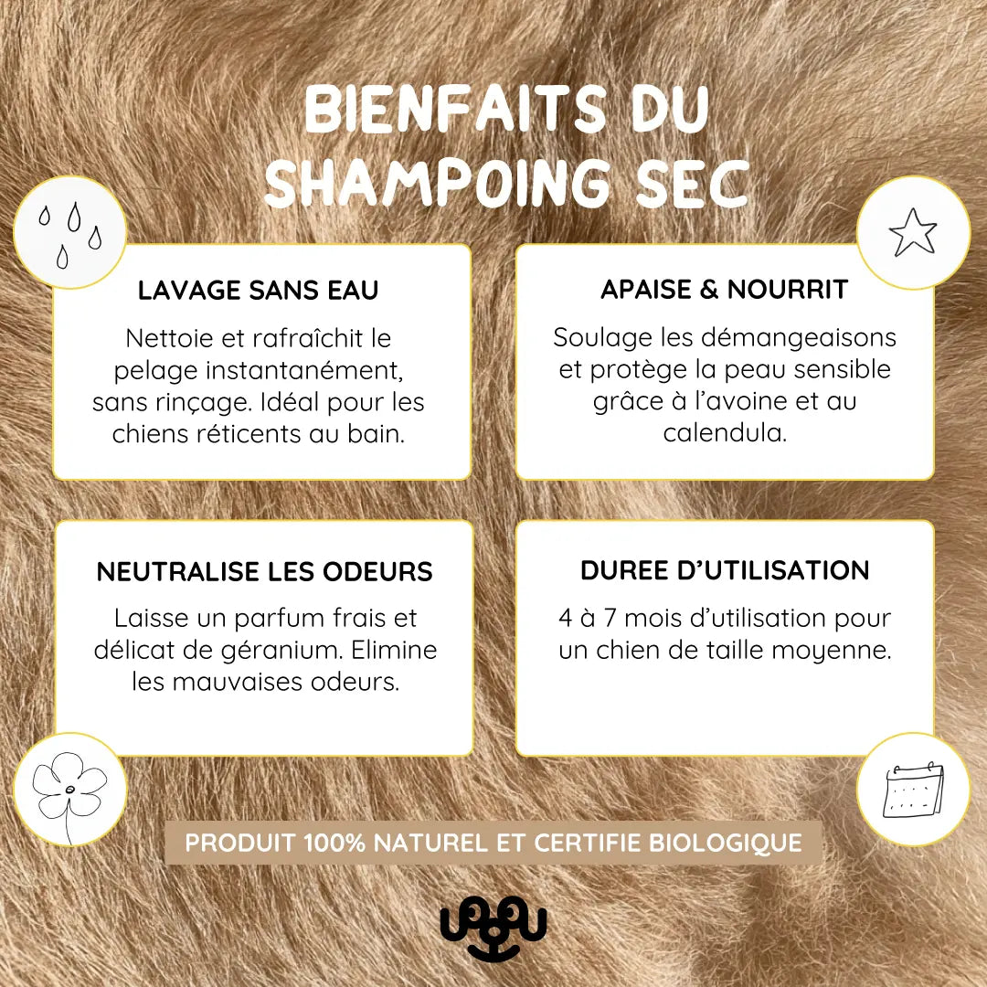 SHAMPOING SEC CERTIFIE BIO
